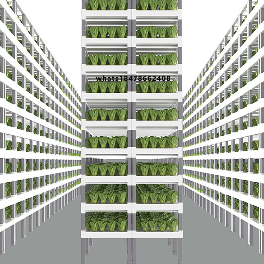 Indoor Plants - Sterowany aplikacją inteligentny system hydroponiczny do