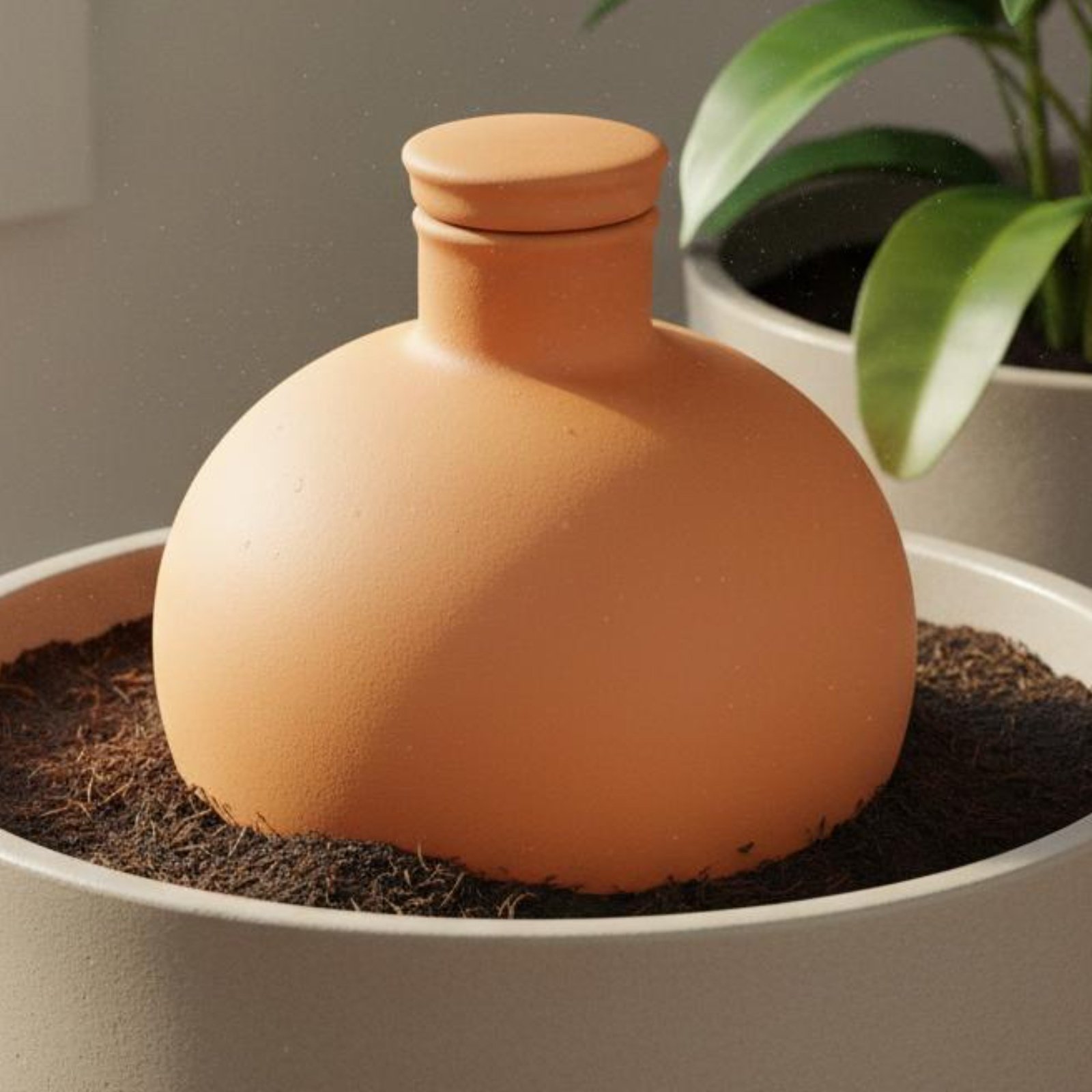 Terracotta Pot - 2 sztuki Terracotta Olla - doniczka