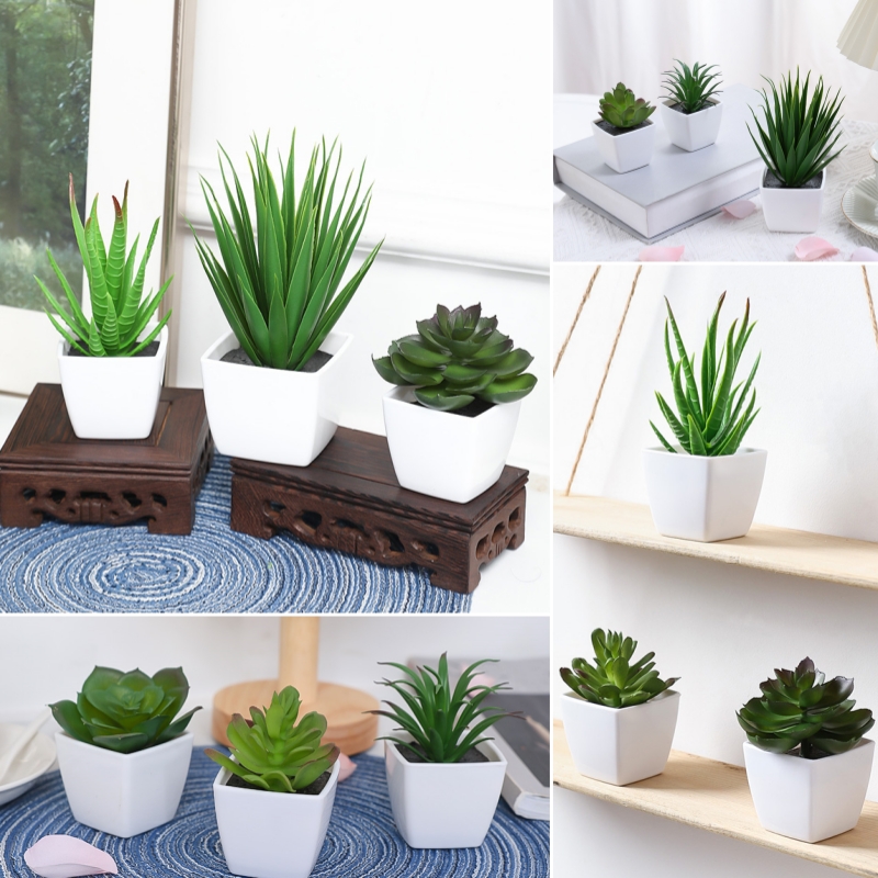 Succulent Set - (Zestaw 3 szt.) Symulowane mini rośliny