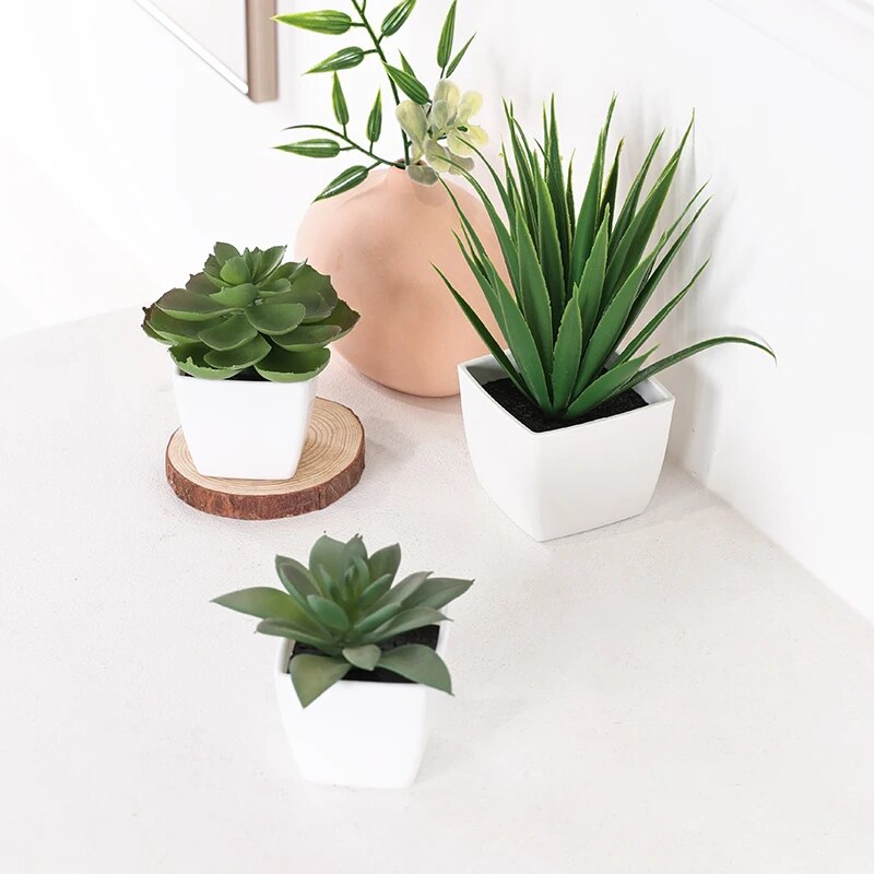 Succulent Set - 3 szt. Sztuczna Evergreen Plant Bonsai,
