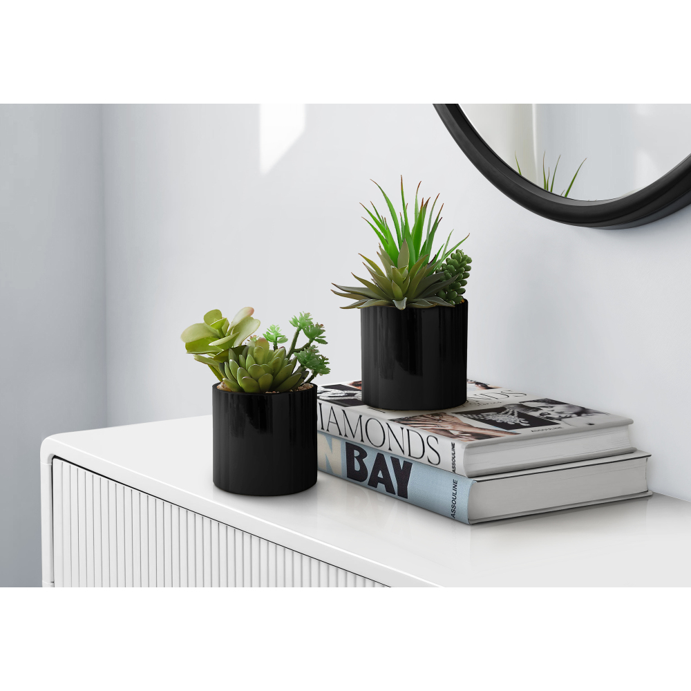 Zestaw 2 sztucznych sukulentów – Succulent Set recenzja i cena