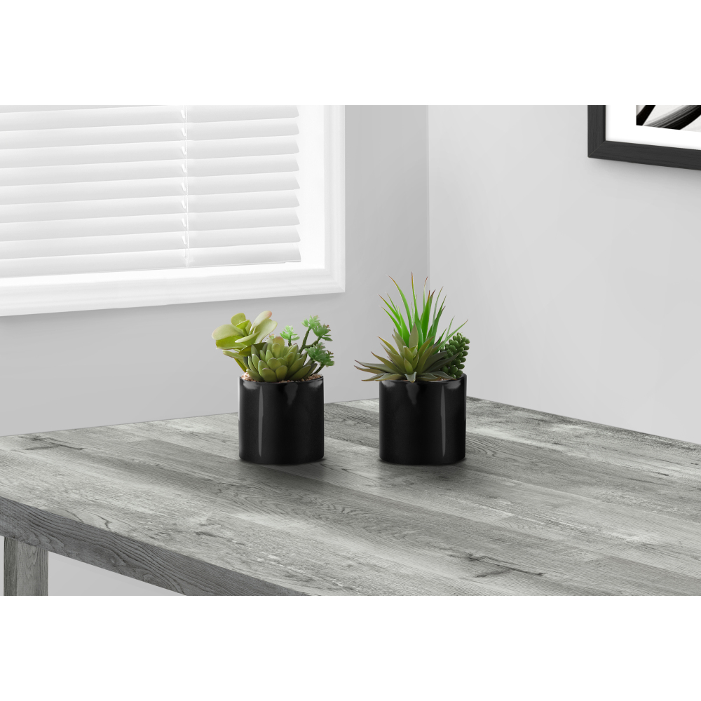 Zestaw 2 sztucznych sukulentów – Succulent Set recenzja i cena