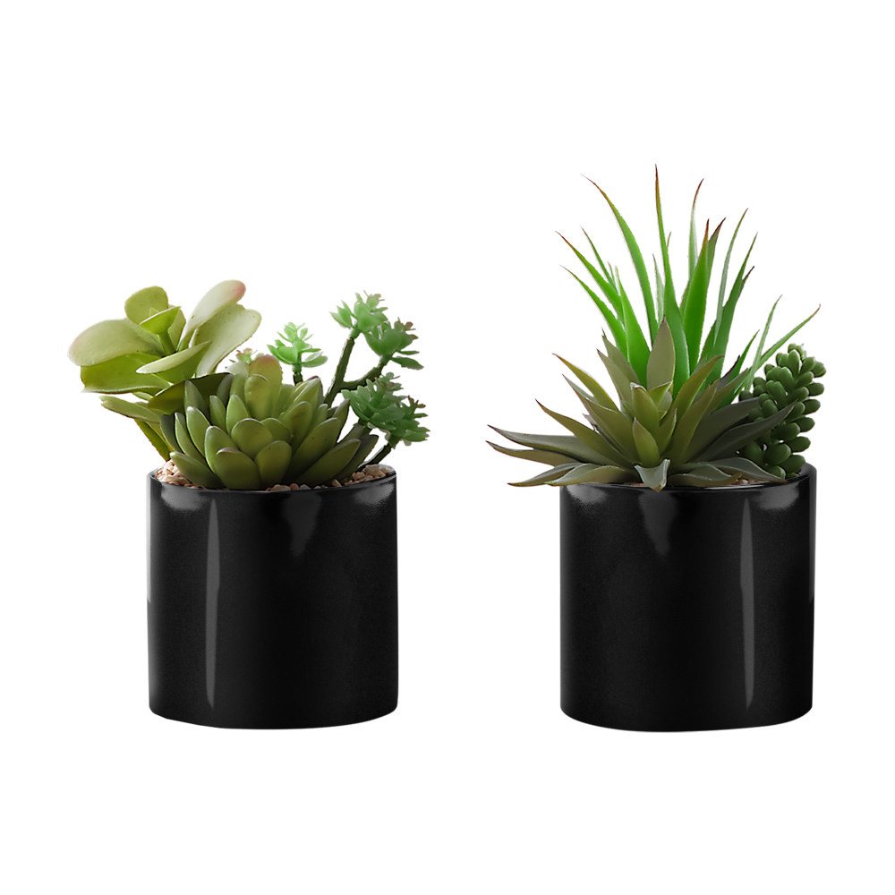 Zestaw 2 sztucznych sukulentów – Succulent Set recenzja i cena