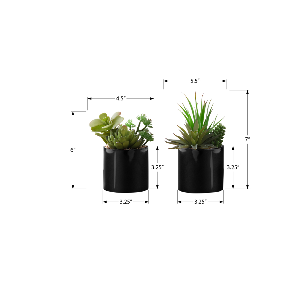 Zestaw 2 sztucznych sukulentów – Succulent Set recenzja i cena
