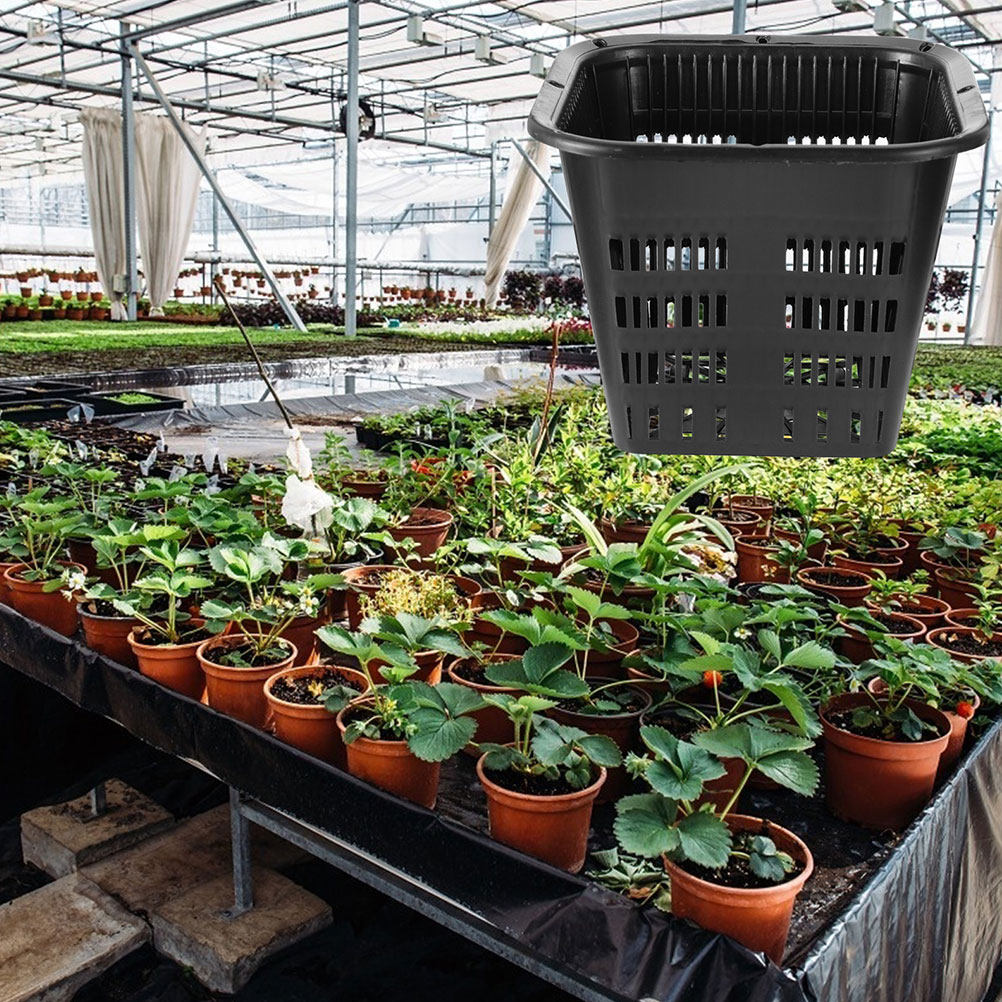 15 szt. Doniczek do kontrolowa – Indoor Plants recenzja i cena