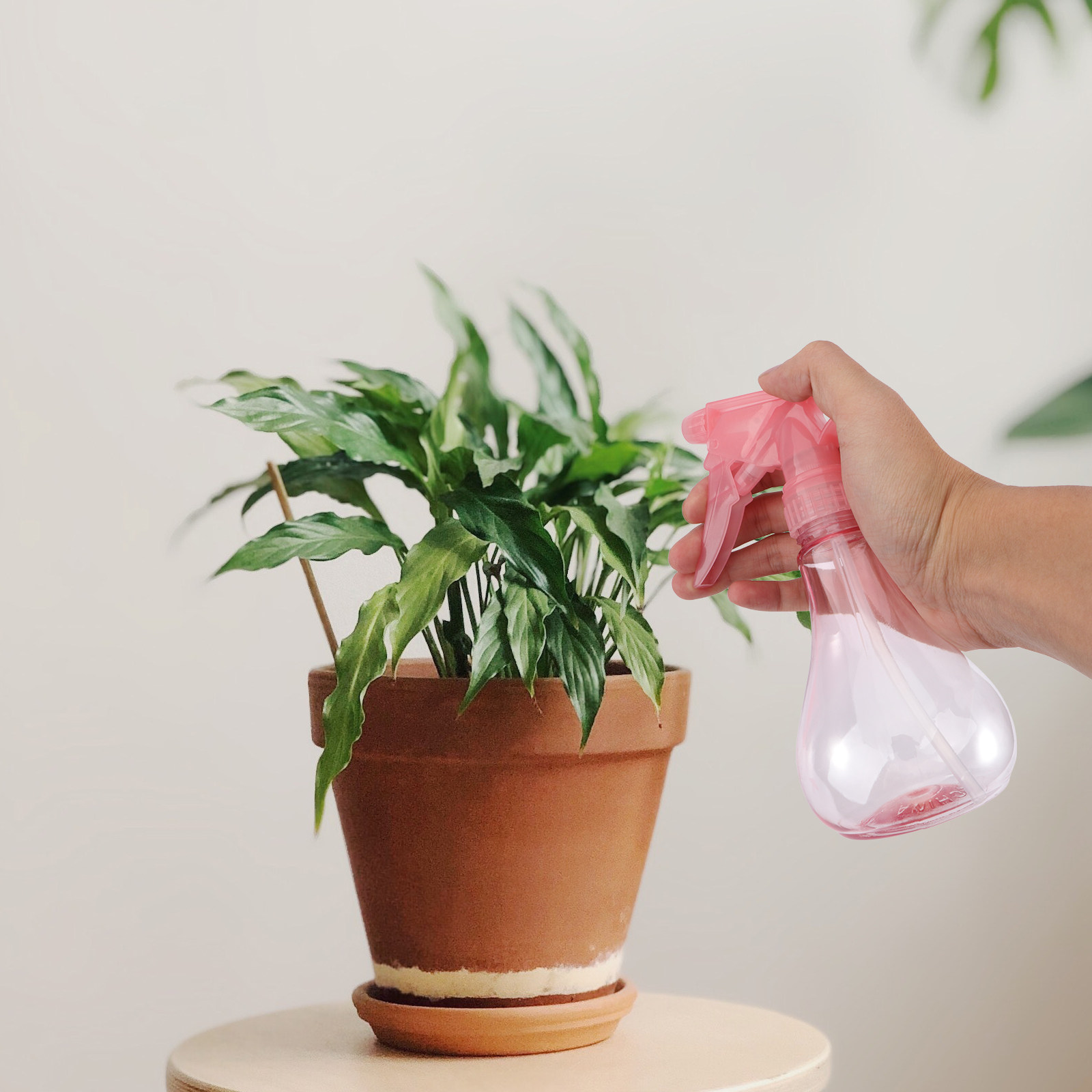1 zestaw mini narzędzi do sadz – Succulent Set recenzja i cena
