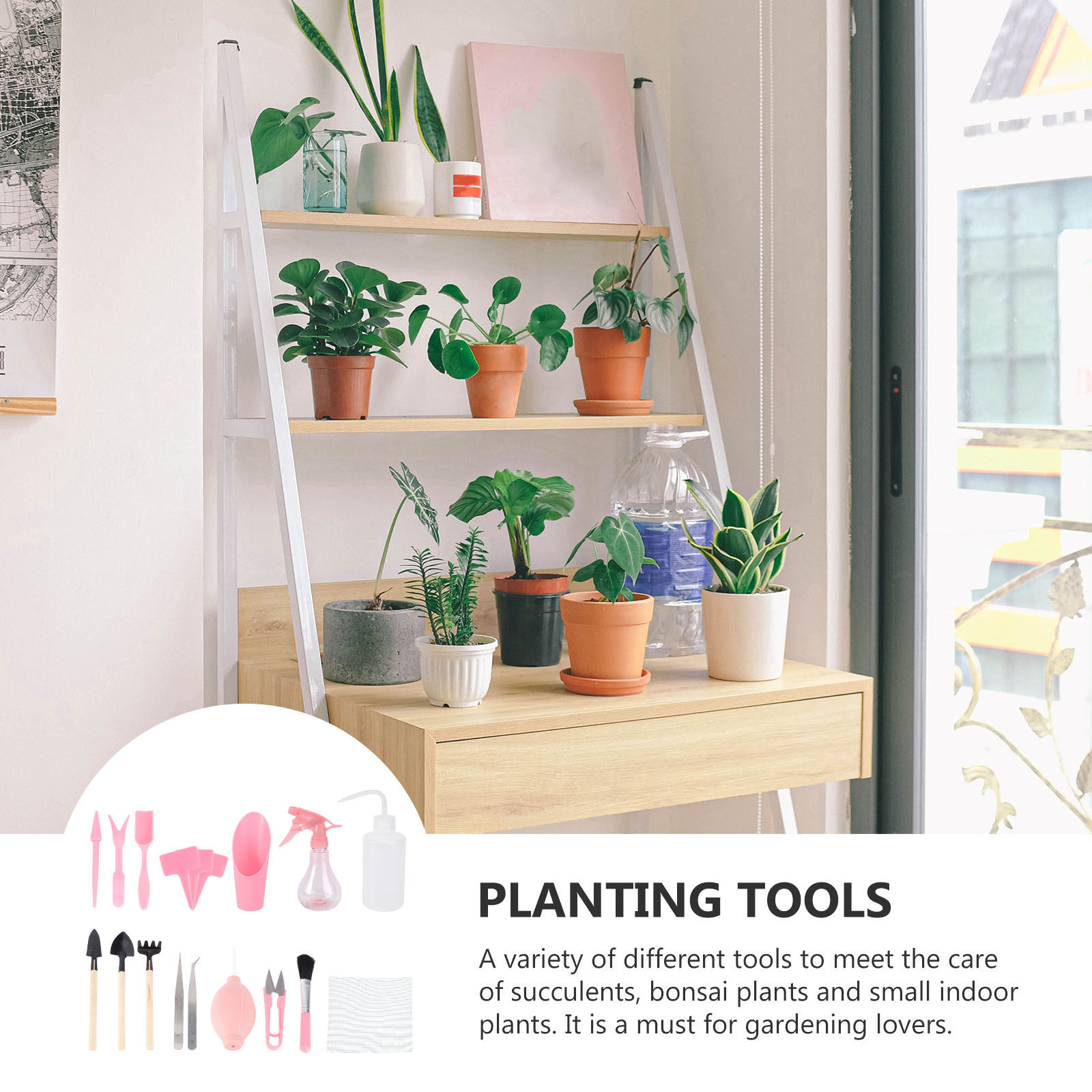 1 zestaw mini narzędzi do sadz – Succulent Set recenzja i cena