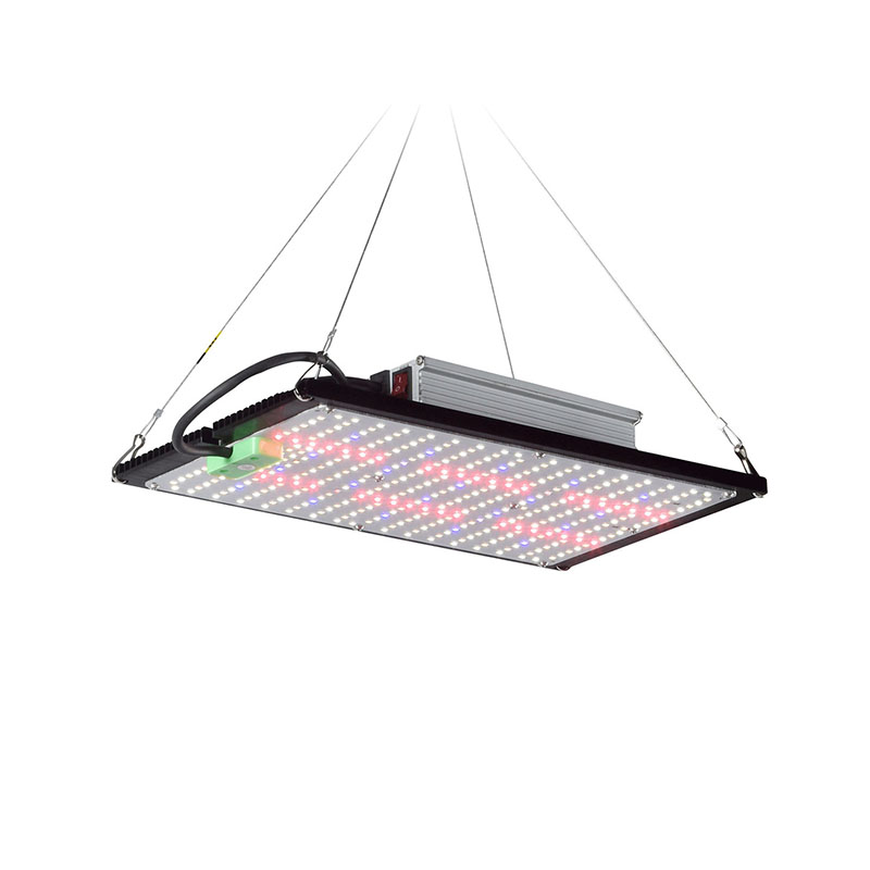 Światło LED Quantum-Board do u – Indoor Plants recenzja i cena