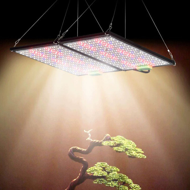 Światło LED Quantum-Board do u – Indoor Plants recenzja i cena