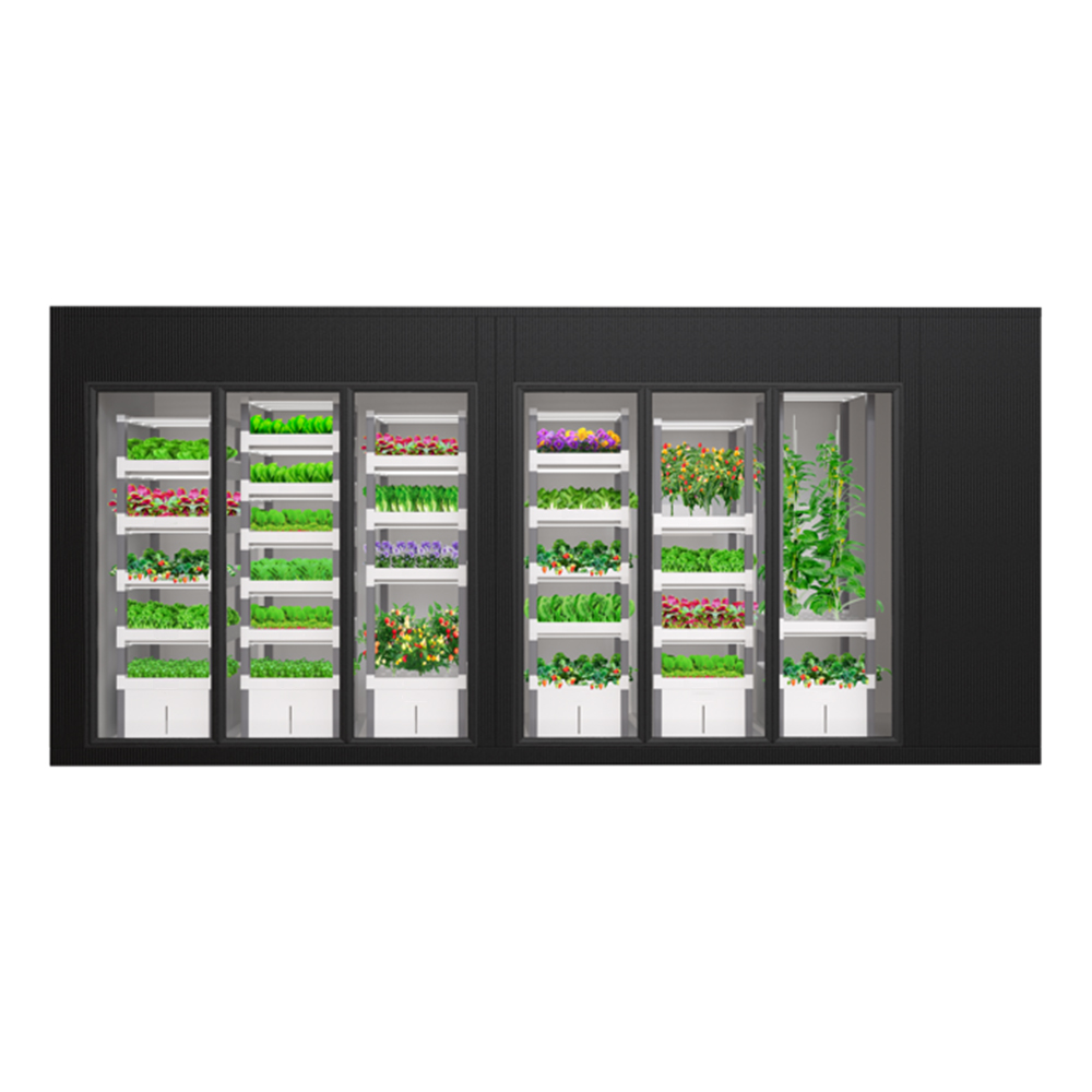 Sterowany aplikacją inteligent – Indoor Plants recenzja i cena