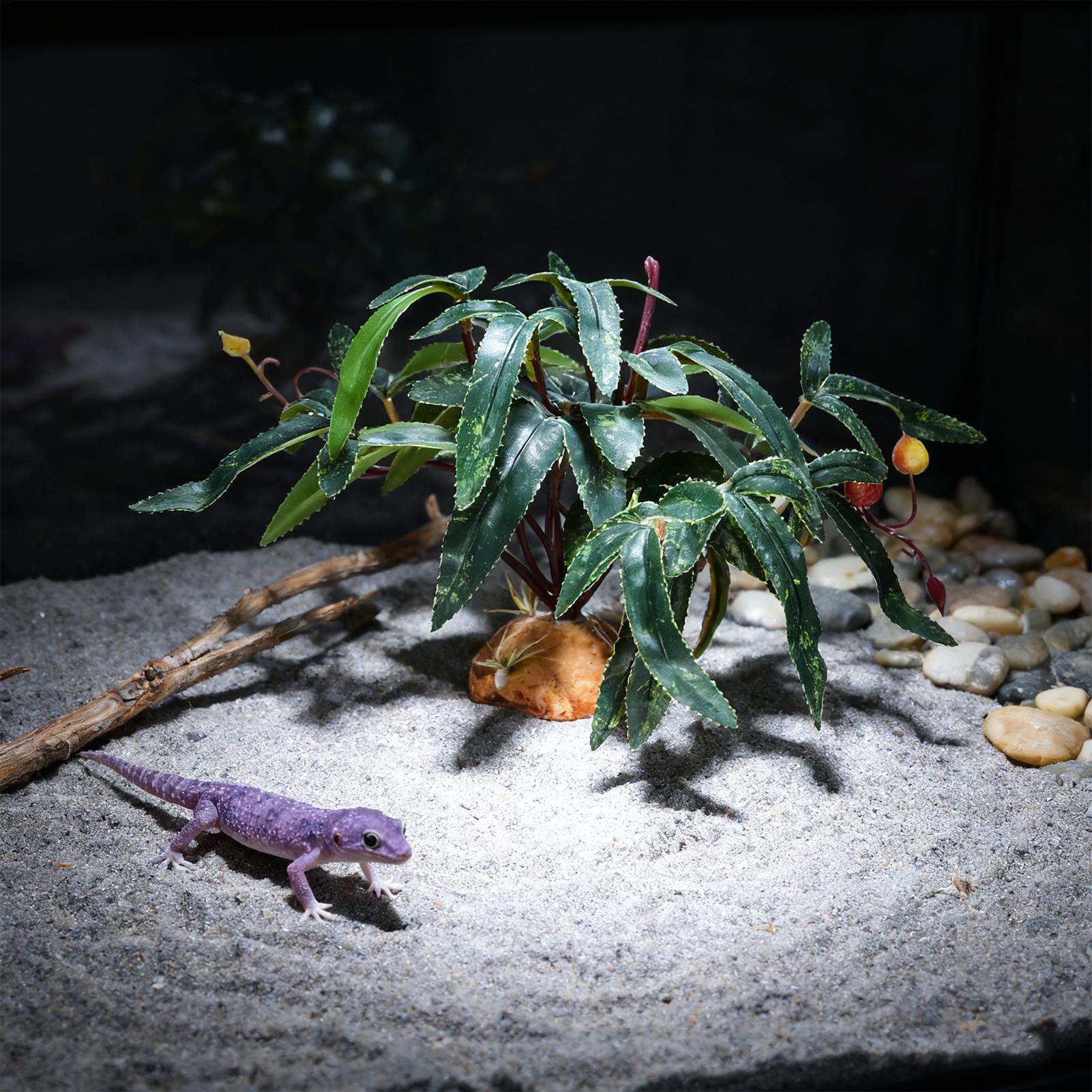 Sztuczne rośliny dla gadów, oz – Snake Plant recenzja i cena