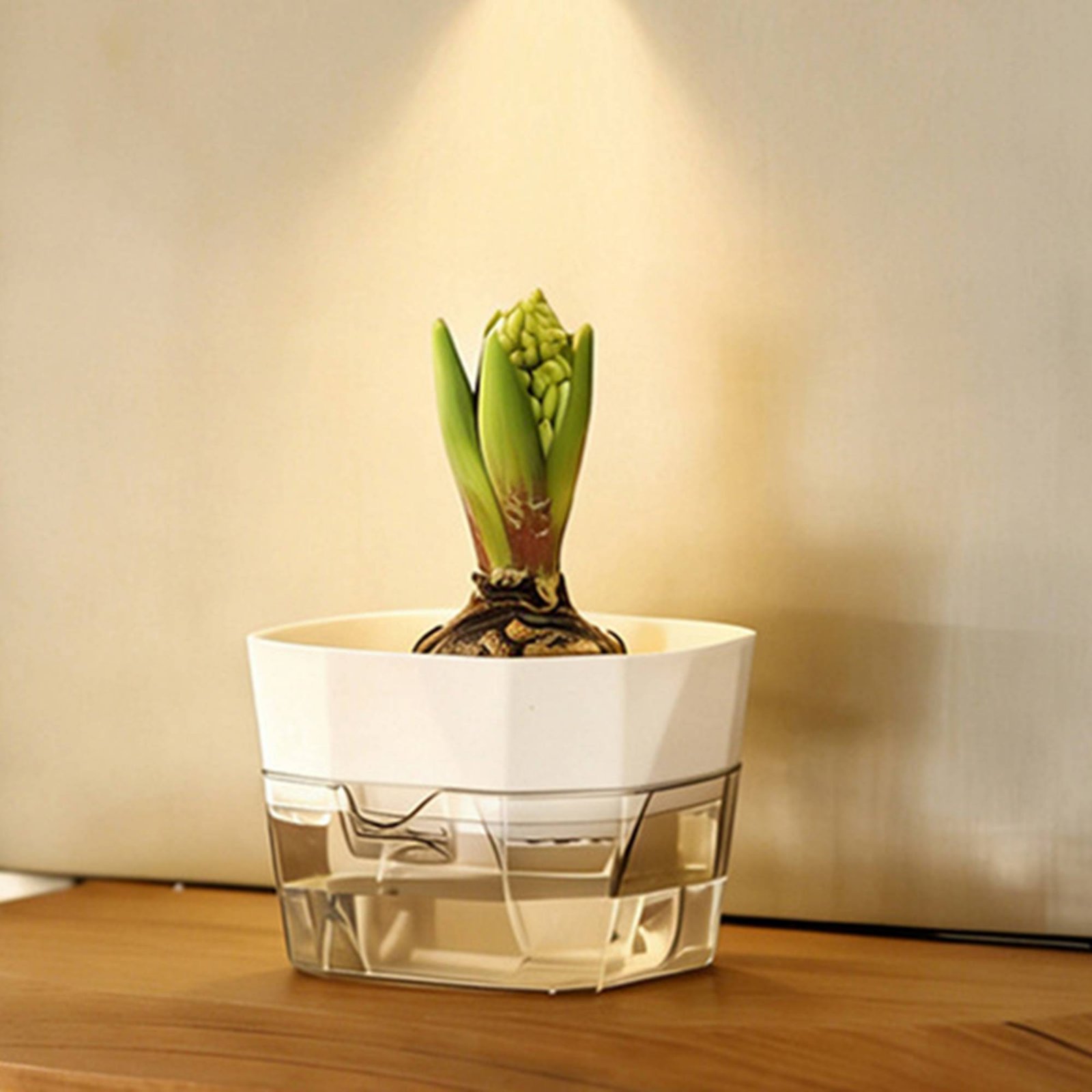 Wazon hydroponiczny na żarówki – Plant Pot recenzja i cena