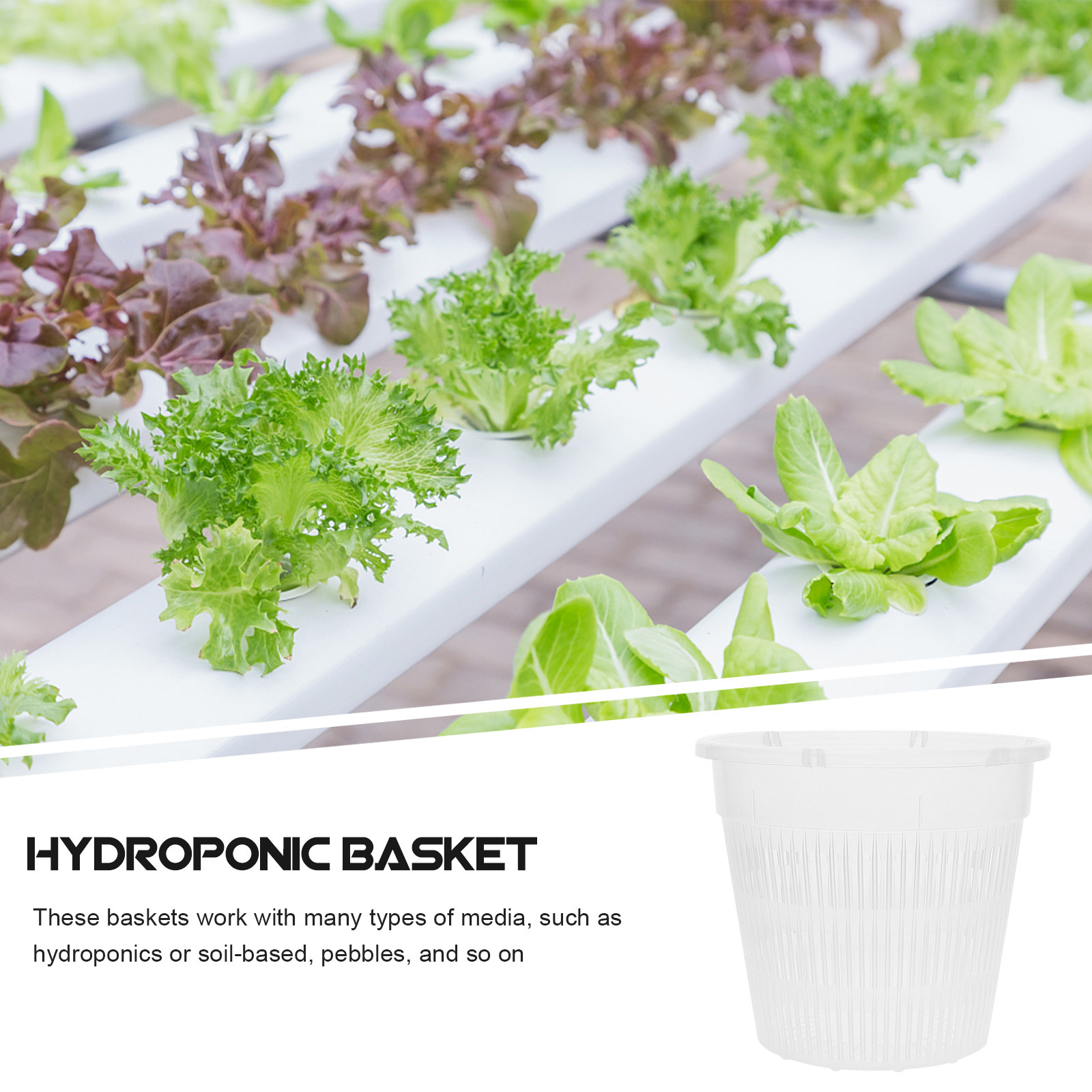 5 sztuk – plastikowe doniczki  – Indoor Plants recenzja i cena