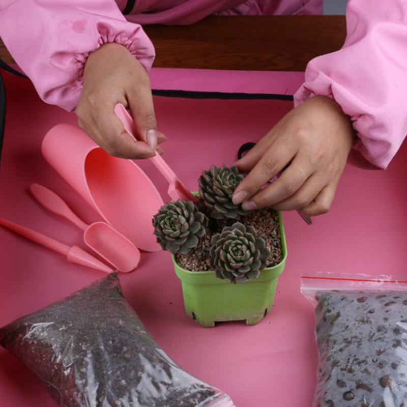 Zestaw do sadzenia roślin ogro – Succulent Set recenzja i cena