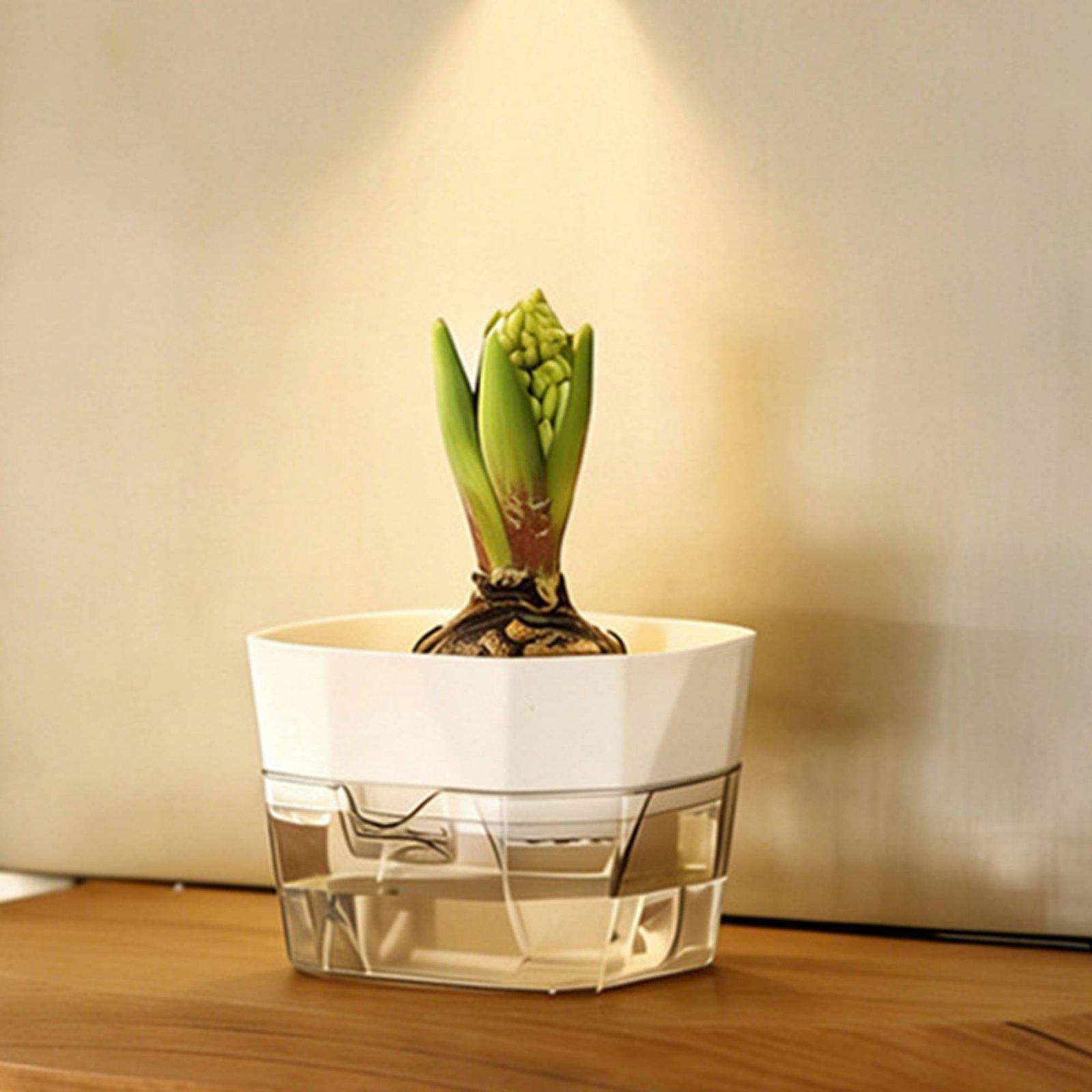 Wazon hydroponiczny dwuwarstwo – Indoor Plants recenzja i cena