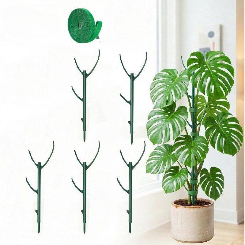 Podpórki dla roślin Monstera,  – Plant Support Stake recenzja i cena