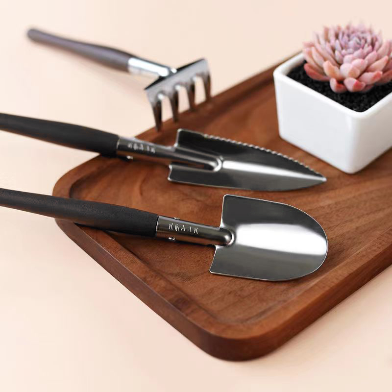 3 szt./zestaw, Zestaw narzędzi – Succulent Set recenzja i cena