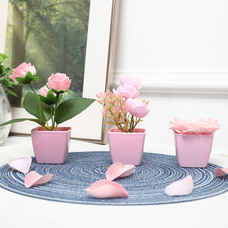 (Zestaw 3 szt.) Symulowane min – Succulent Set recenzja i cena
