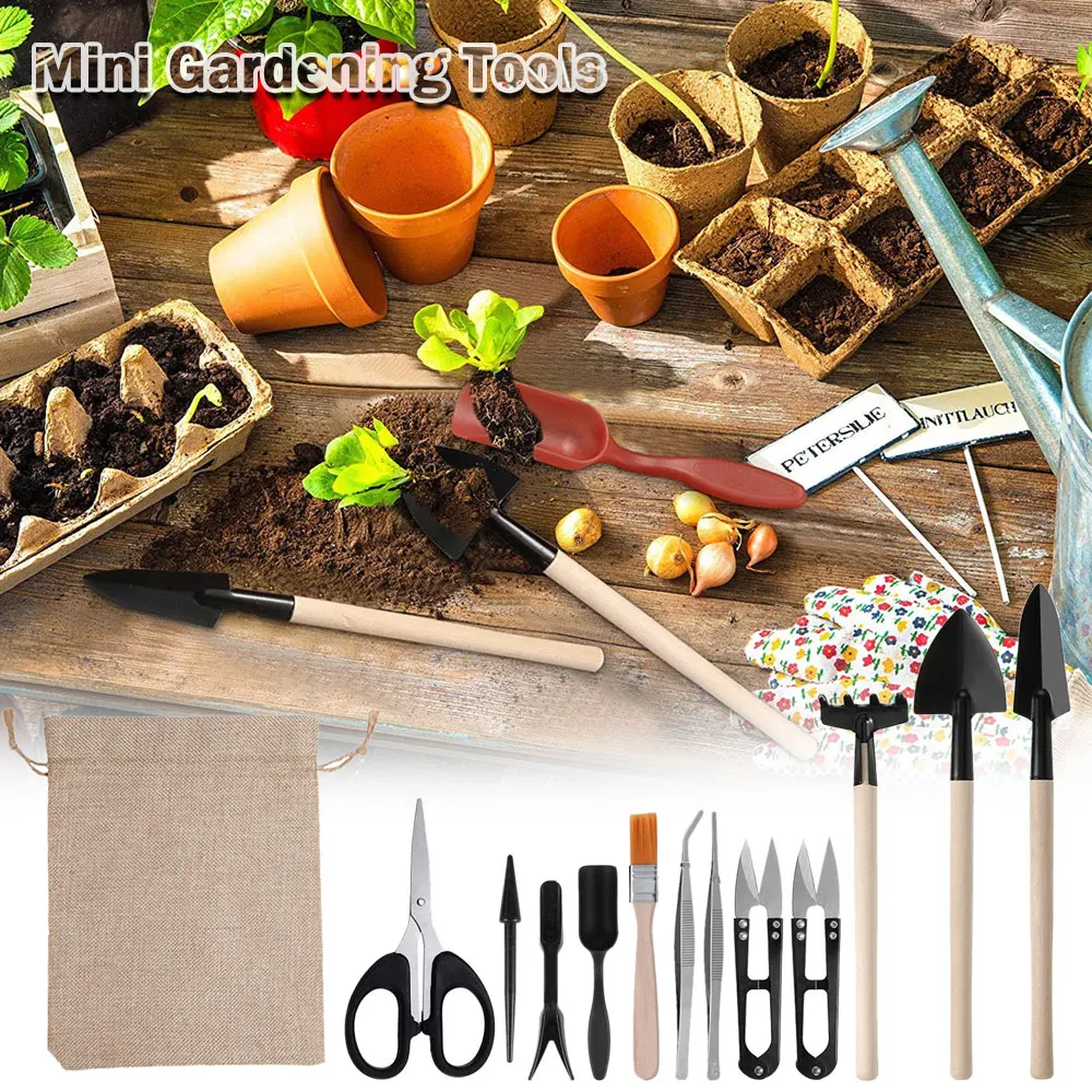13 szt. Zestaw narzędzi sukule – Succulent Set recenzja i cena