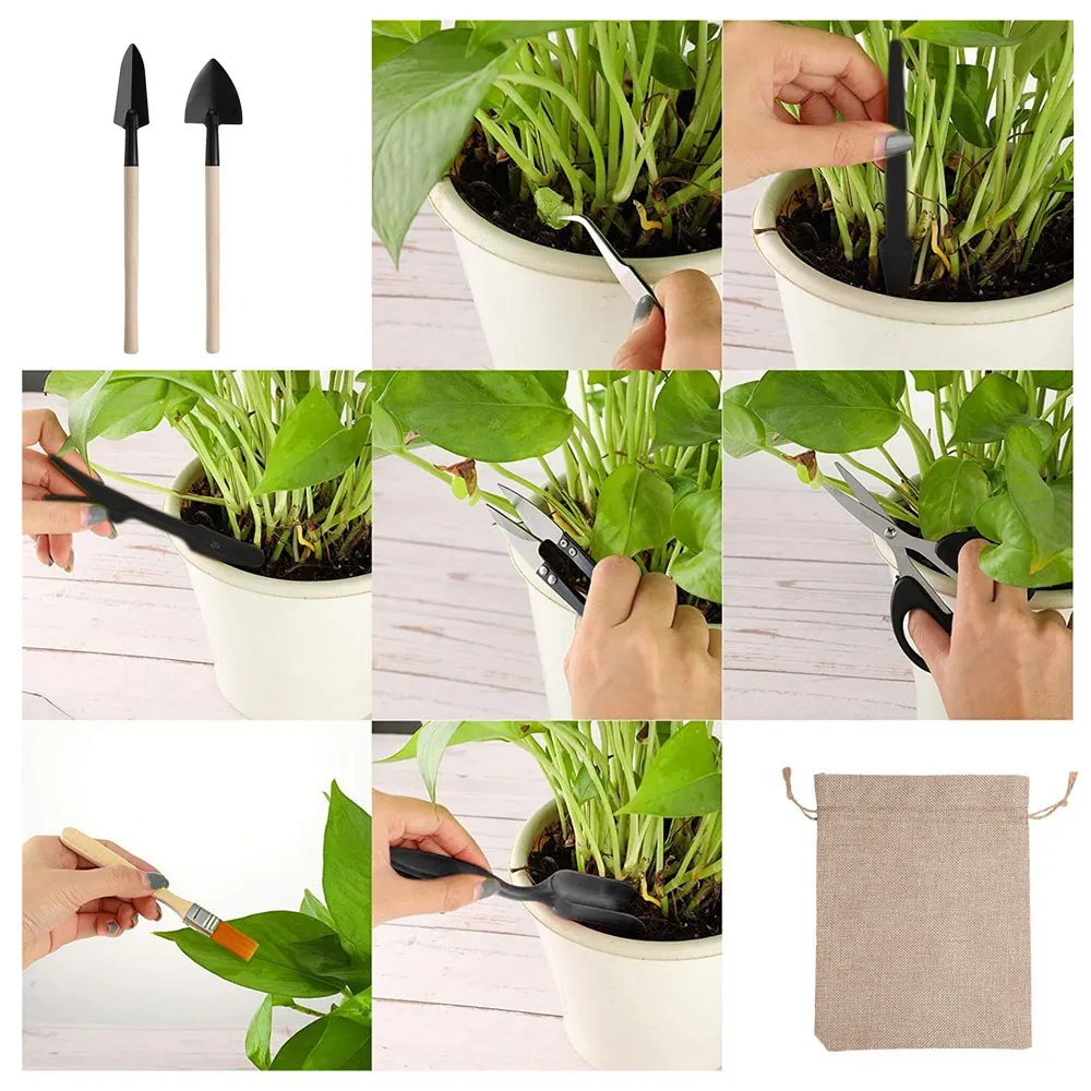 13 szt. Zestaw narzędzi sukule – Succulent Set recenzja i cena