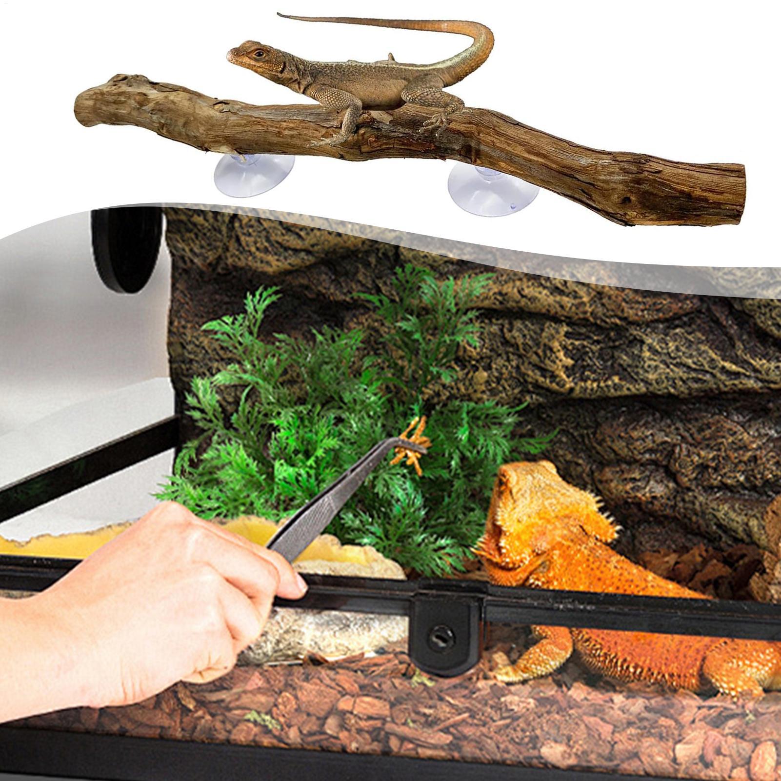 Narożnik do wspinaczki dla gad – Snake Plant recenzja i cena