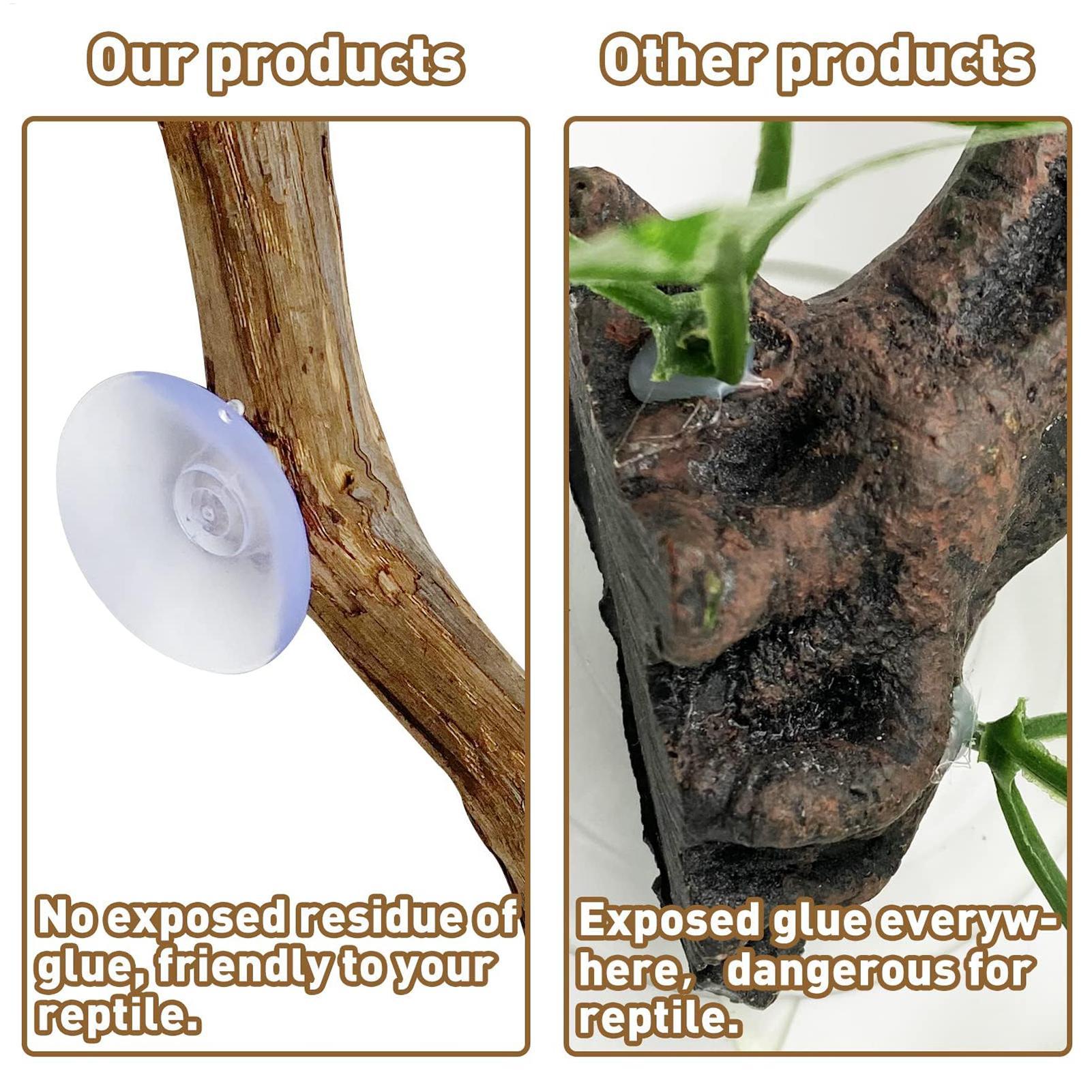 Narożnik do wspinaczki dla gad – Snake Plant recenzja i cena