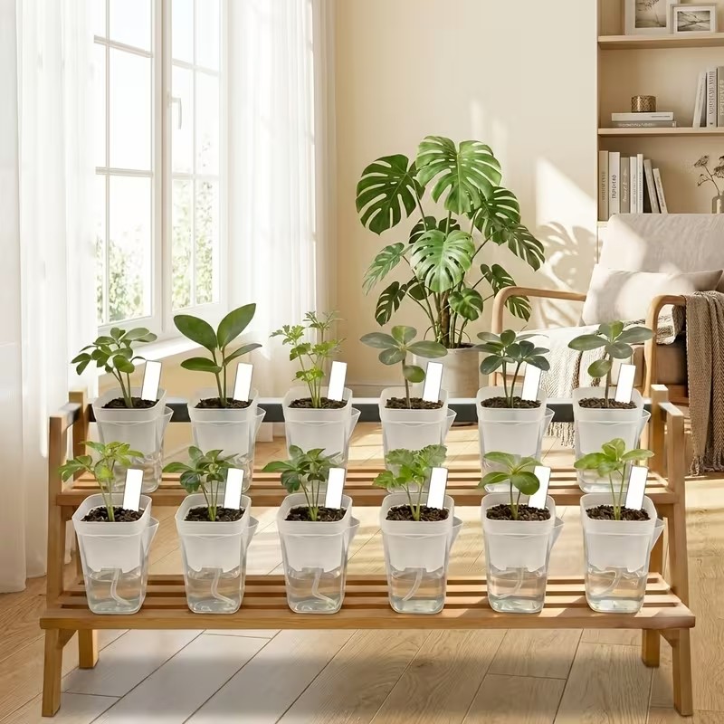 Zestaw 16/32 doniczek samonawa – Pothos recenzja i cena