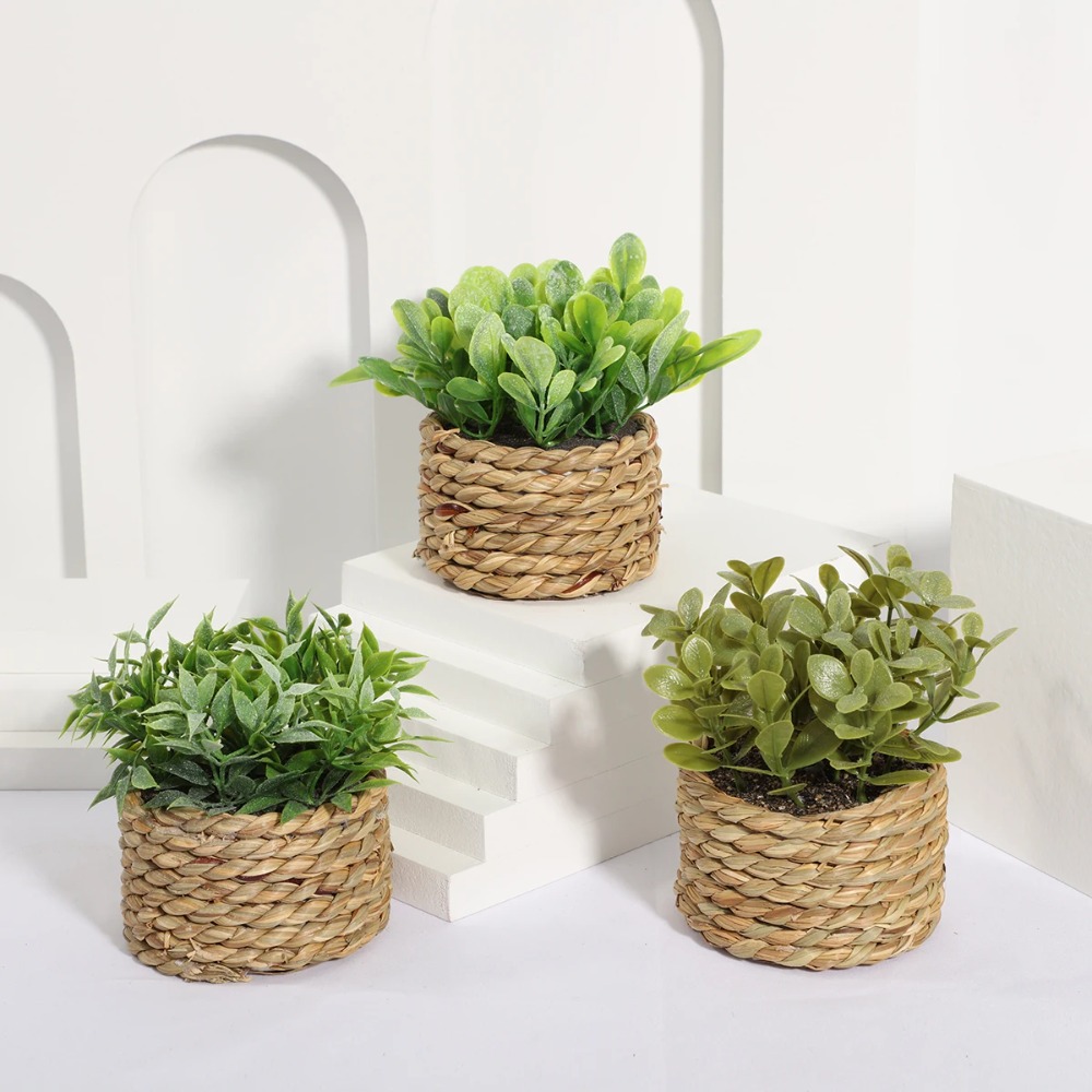 Zielona sztuczna roślina donic – Succulent Set recenzja i cena