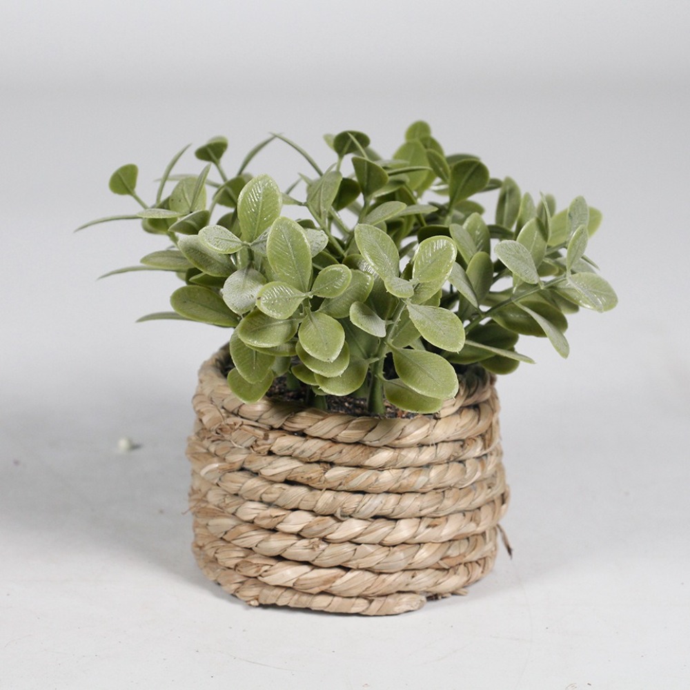 Zielona sztuczna roślina donic – Succulent Set recenzja i cena