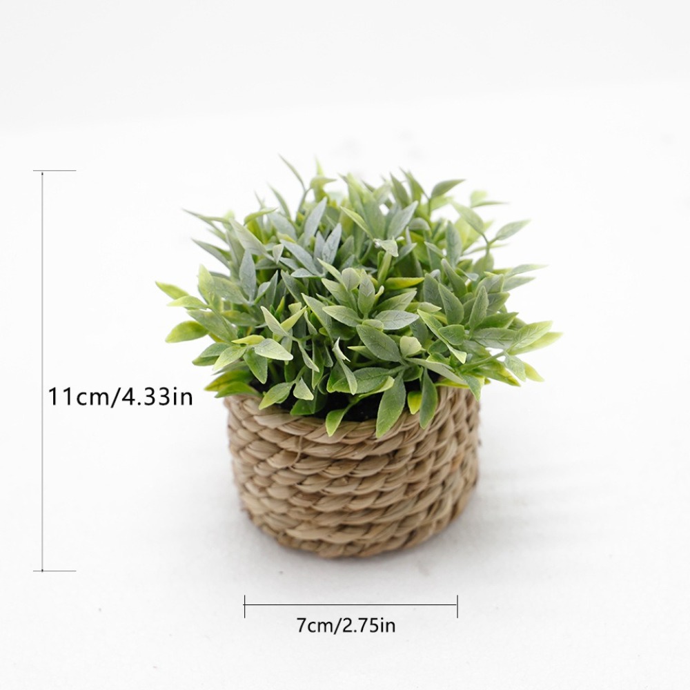 Zielona sztuczna roślina donic – Succulent Set recenzja i cena