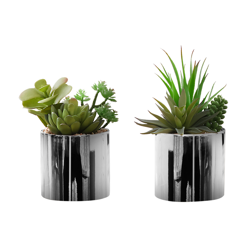Zestaw 2 sztucznych sukulentów – Succulent Set recenzja i cena