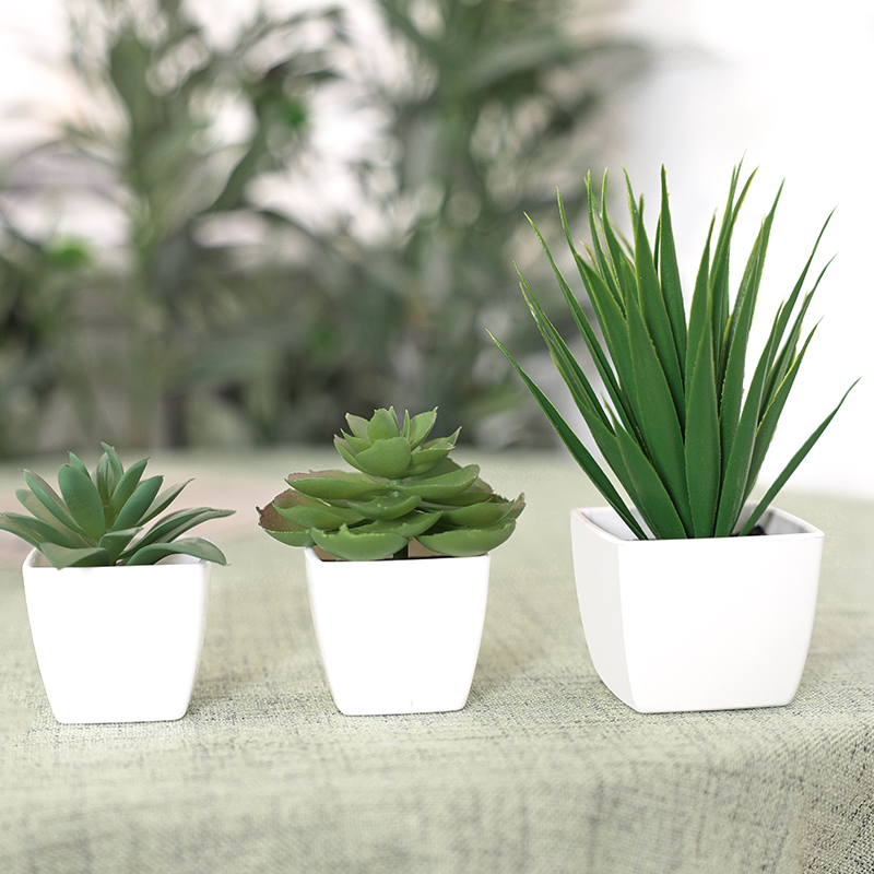 3 szt. Sztuczna Evergreen Plan – Succulent Set recenzja i cena