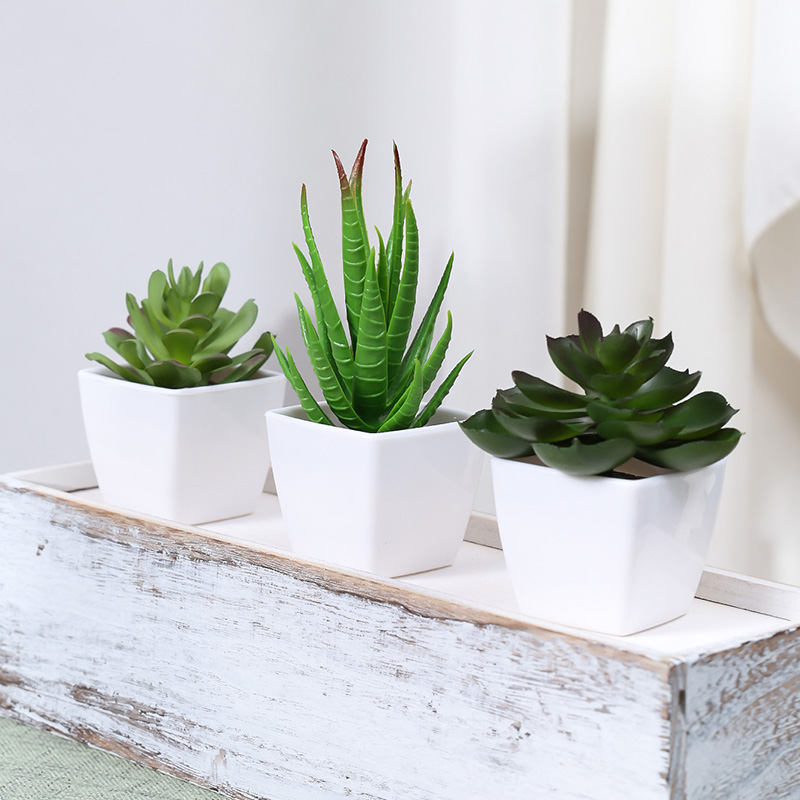 3 szt. Sztuczna Evergreen Plan – Succulent Set recenzja i cena