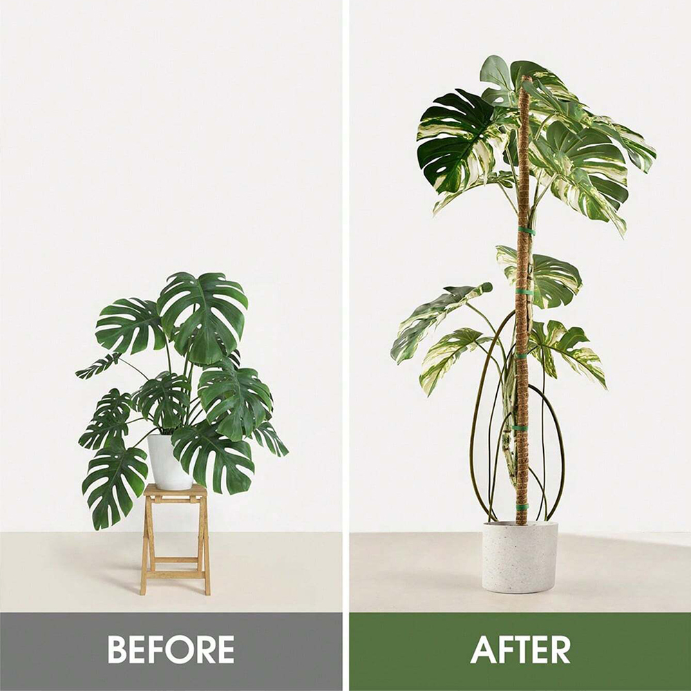 Palik z mchu dla roślin, podpó – Plant Support Stake recenzja i cena