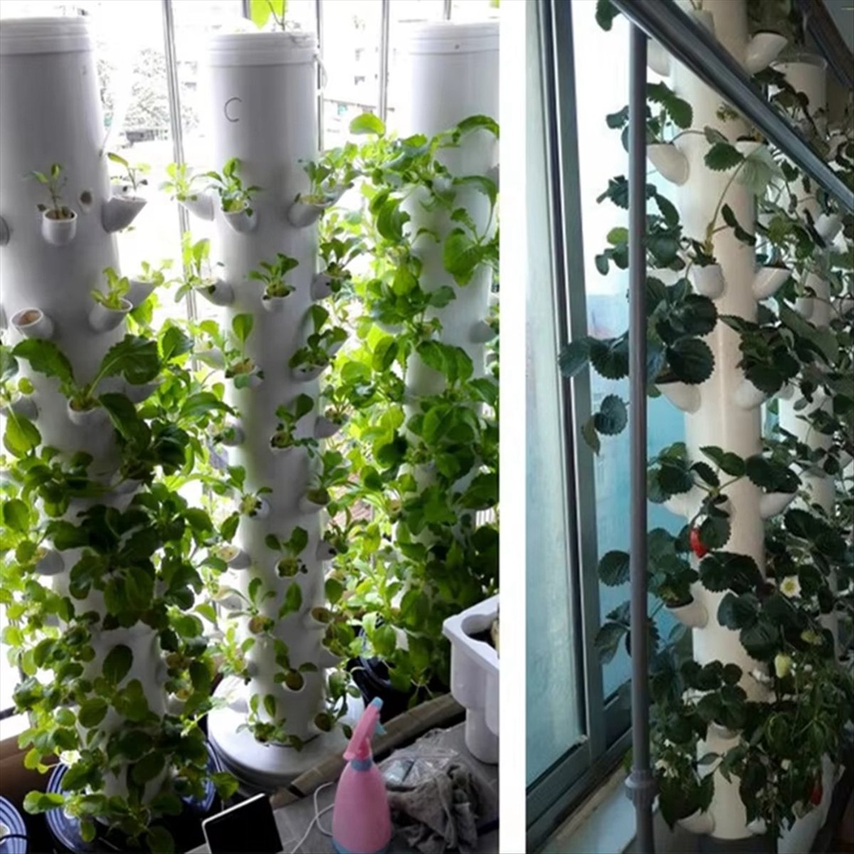 Wertykalna wieża hydroponiczna – Plant Pot recenzja i cena