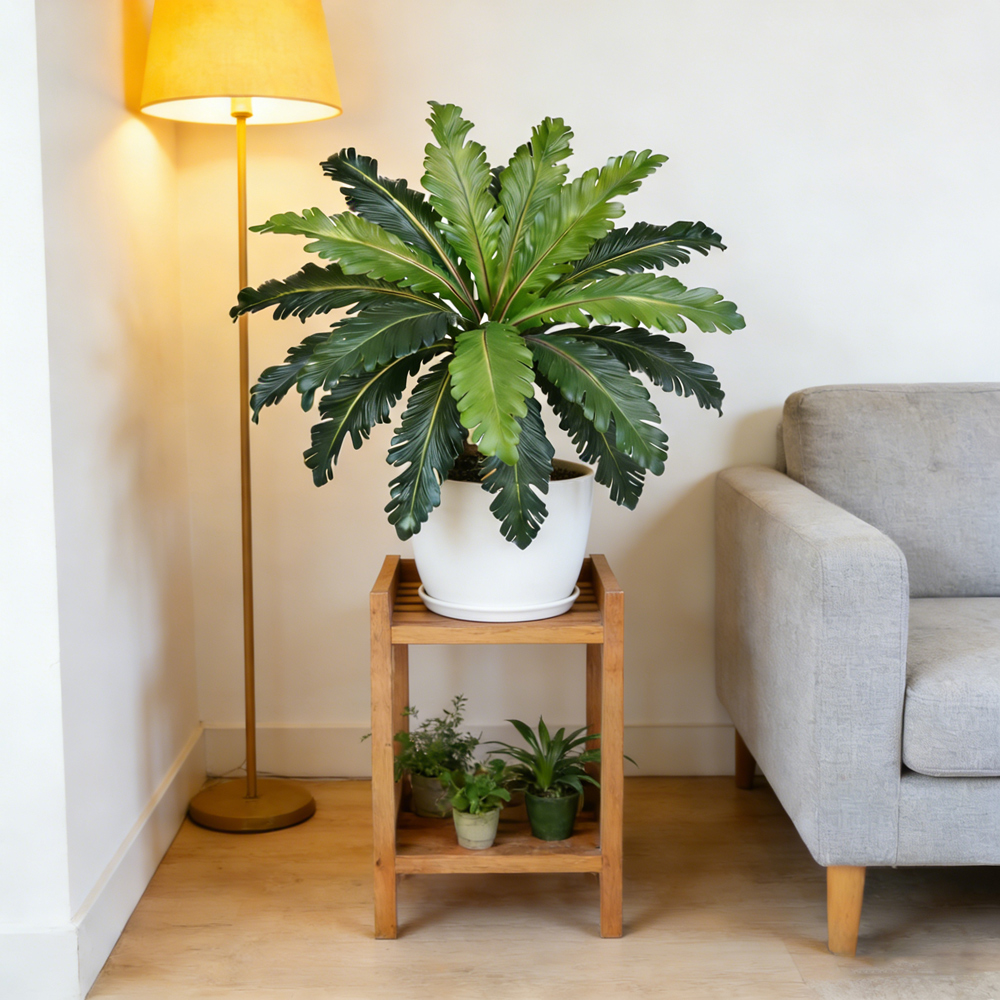 Sztuczne liście tropikalne, pe – Snake Plant recenzja i cena