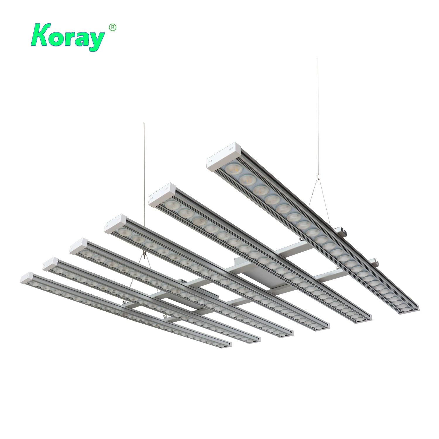Koray 900W Wewnętrzna lampa do – Indoor Plants recenzja i cena