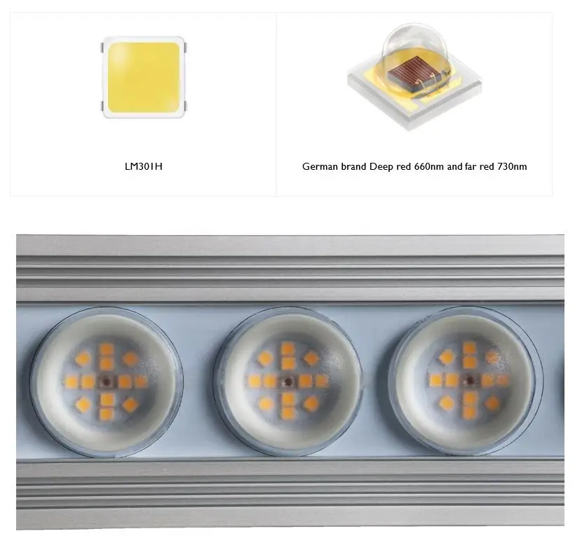 Koray 900W Wewnętrzna lampa do – Indoor Plants recenzja i cena