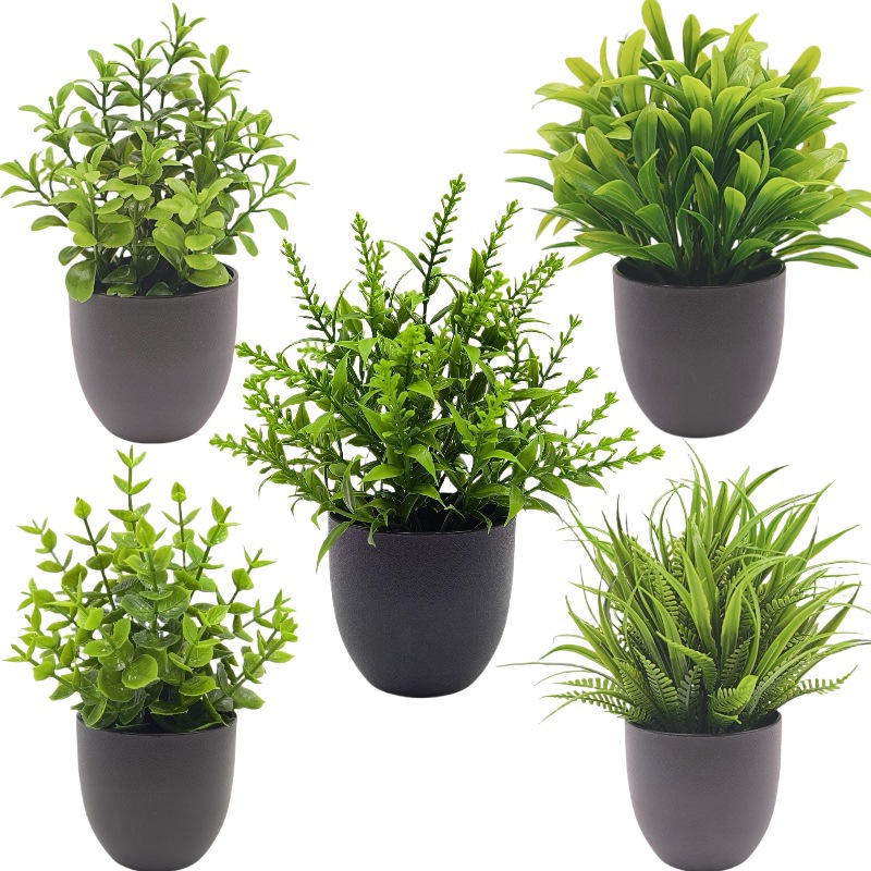 Sztuczna zielona roślina bonsa – Succulent Set recenzja i cena