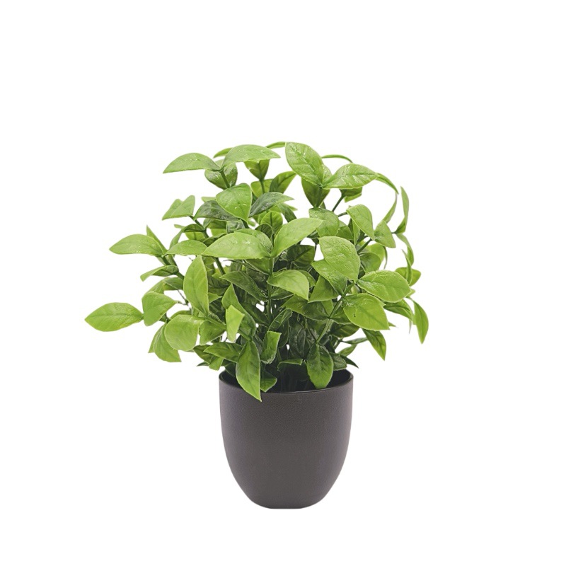 Sztuczna zielona roślina bonsa – Succulent Set recenzja i cena