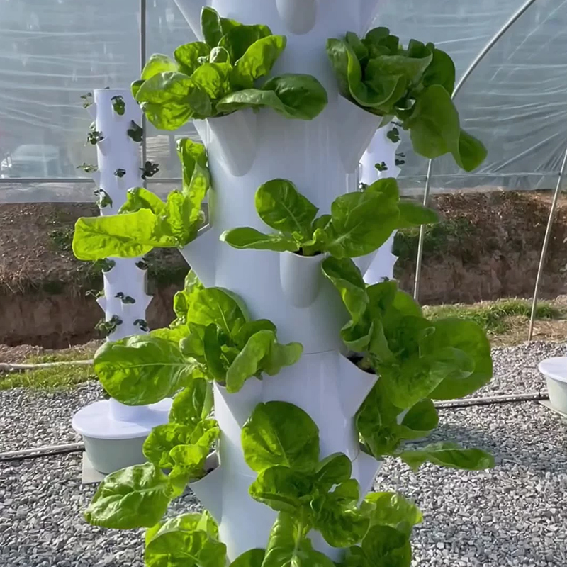 Inteligentna kolumna do uprawy – Plant Pot recenzja i cena
