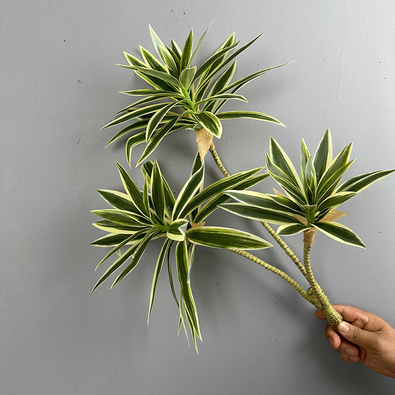 Sztuczne rośliny, 3 główki lil – Snake Plant recenzja i cena