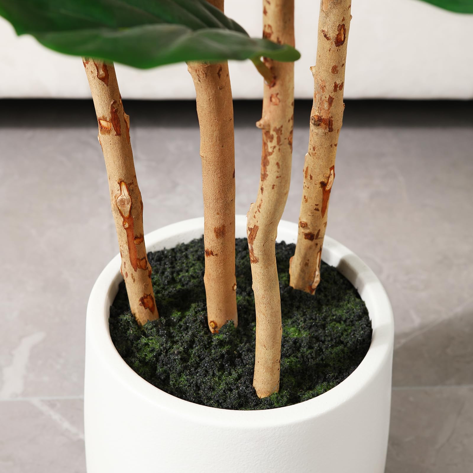 Sztuczne drzewo figowe z biały – Fiddle Leaf Fig recenzja i cena