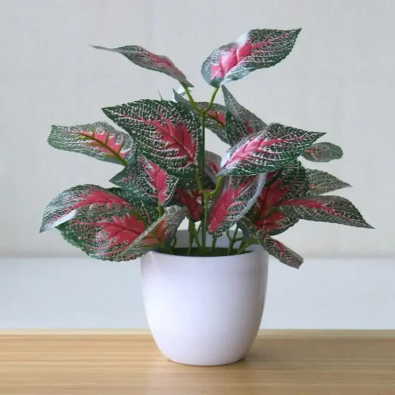 Sztuczne rośliny Bonsai Fałszy – Snake Plant recenzja i cena