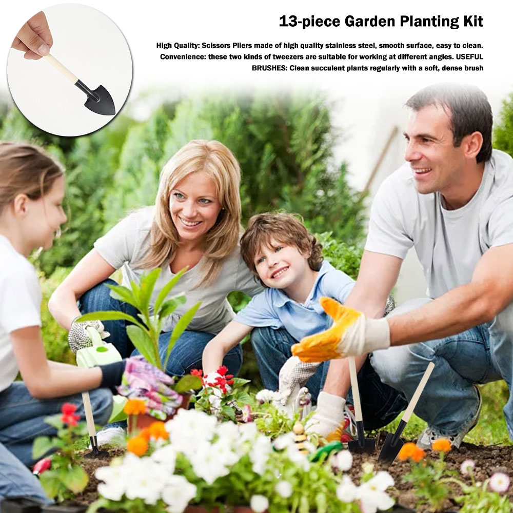 Soczyste rośliny narzędzia Min – Succulent Set recenzja i cena