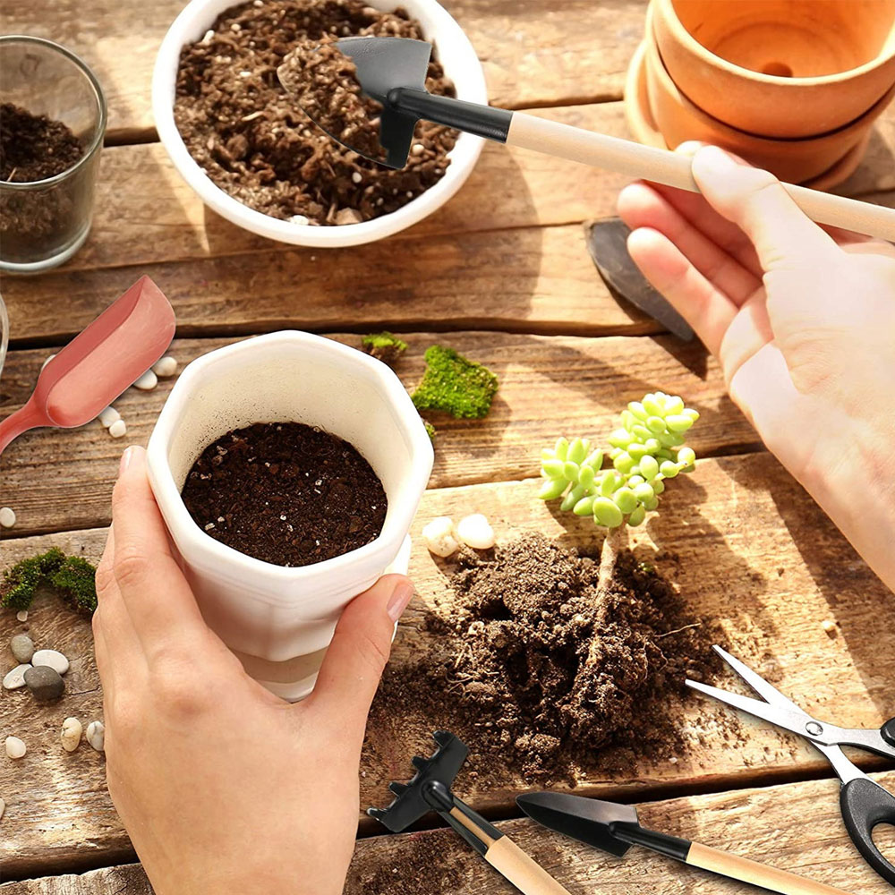 Soczyste rośliny narzędzia Min – Succulent Set recenzja i cena