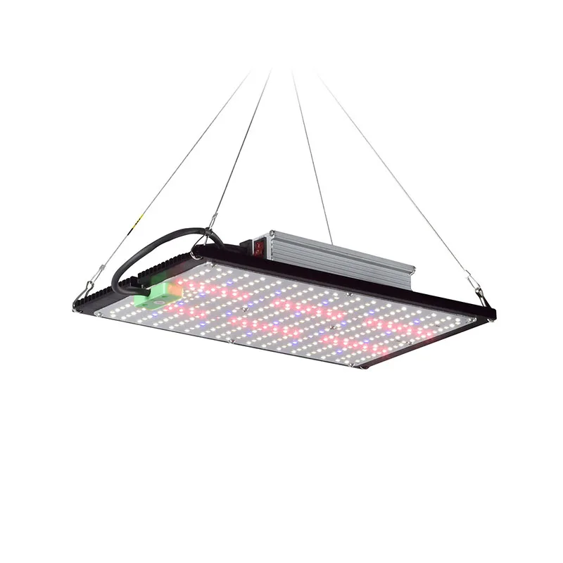 Światło LED Quantum-Board do u – Indoor Plants recenzja i cena