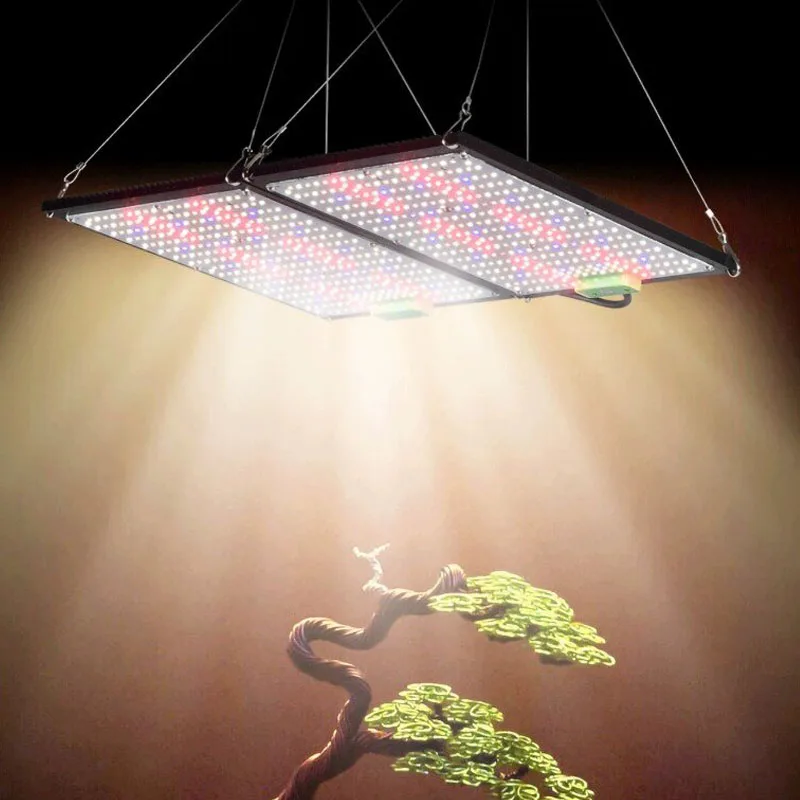 Światło LED Quantum-Board do u – Indoor Plants recenzja i cena