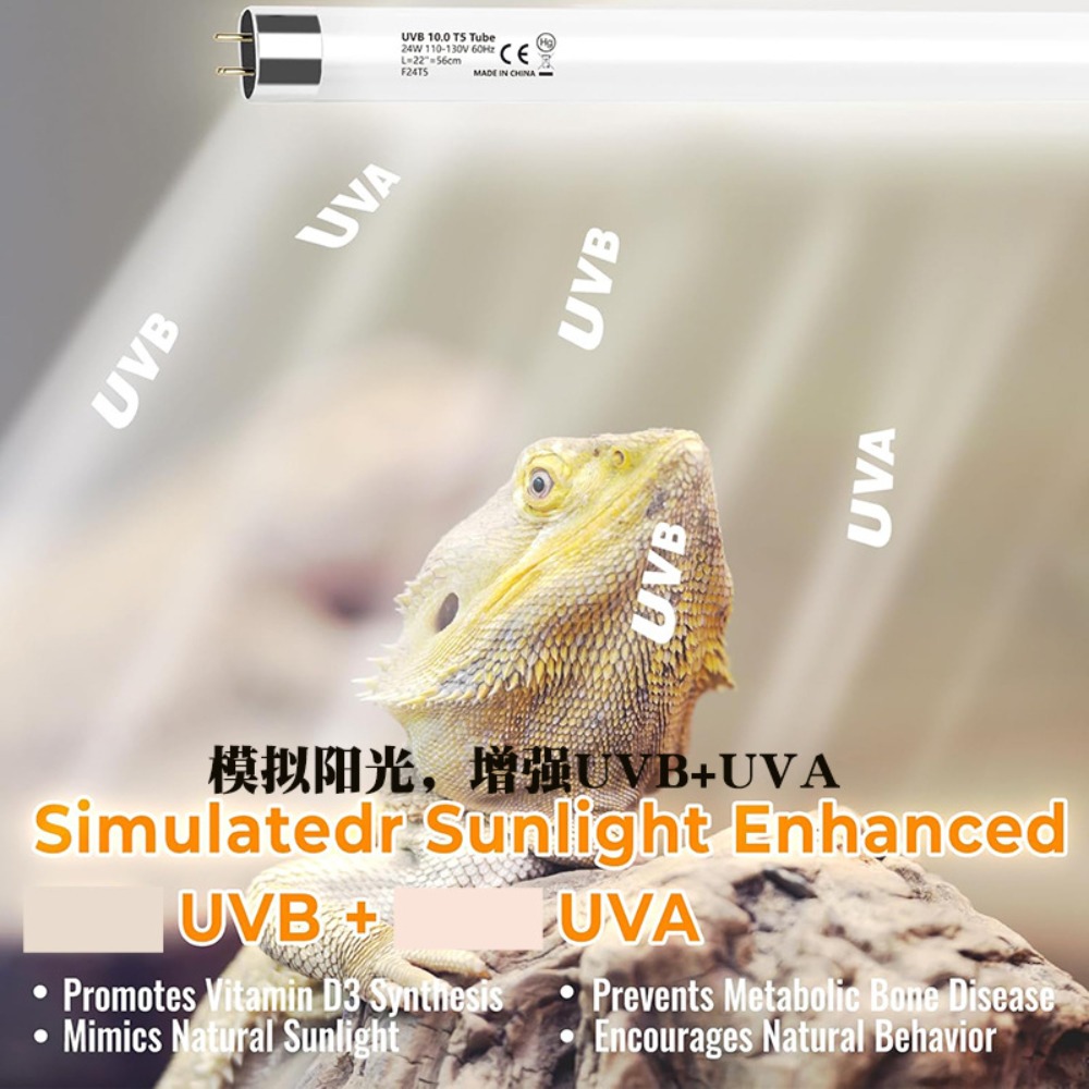 Oświetlenie LED do terrarium r – Snake Plant recenzja i cena